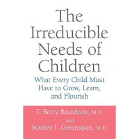 The Irreducible Needs of Children